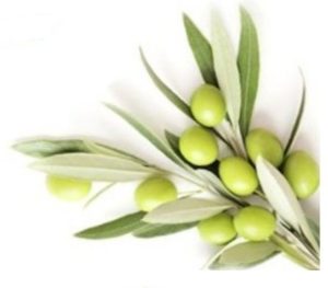 No. 12 Amazon Best Seller